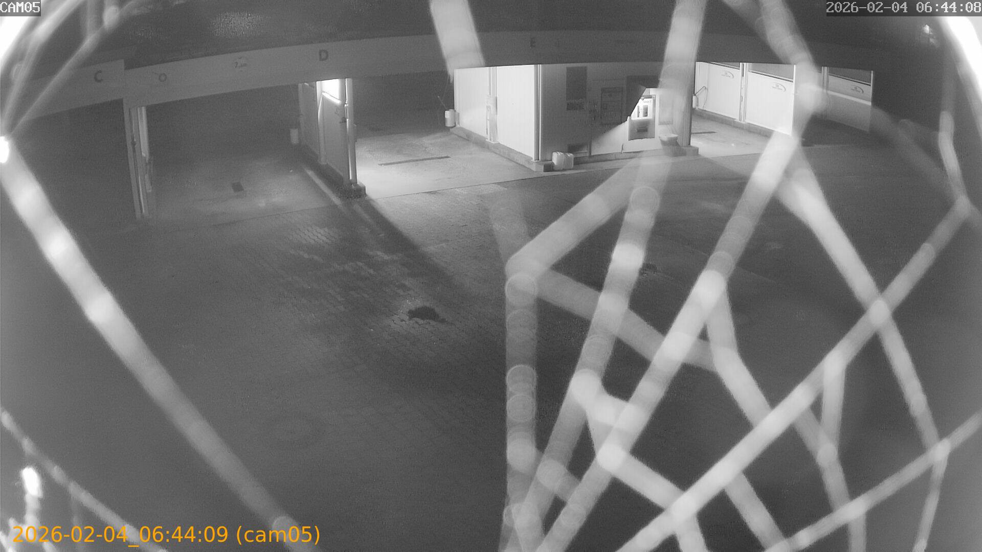 thumbnail_20260204064409