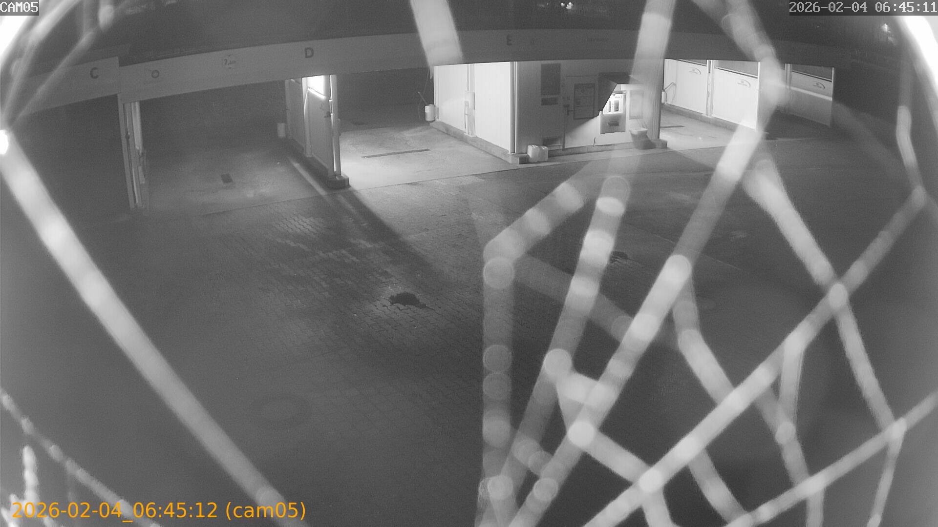 thumbnail_20260204064512