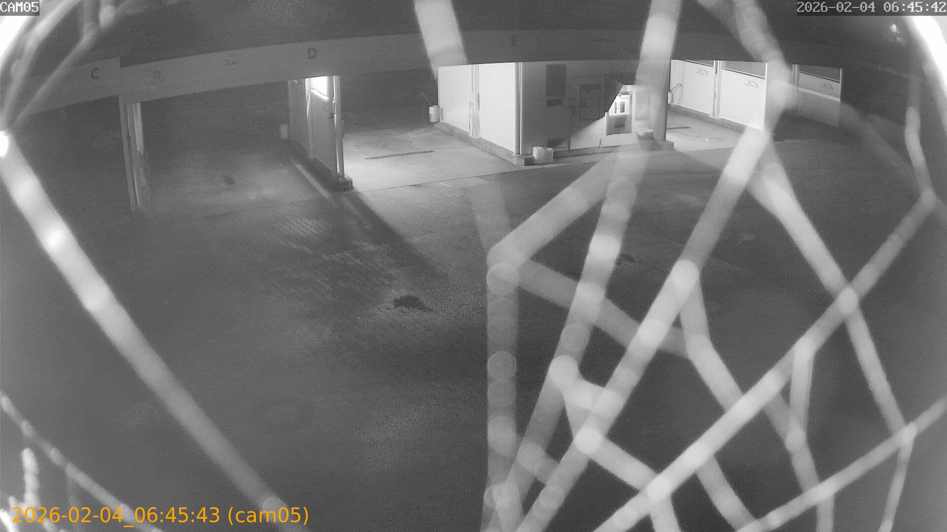 thumbnail_20260204064543