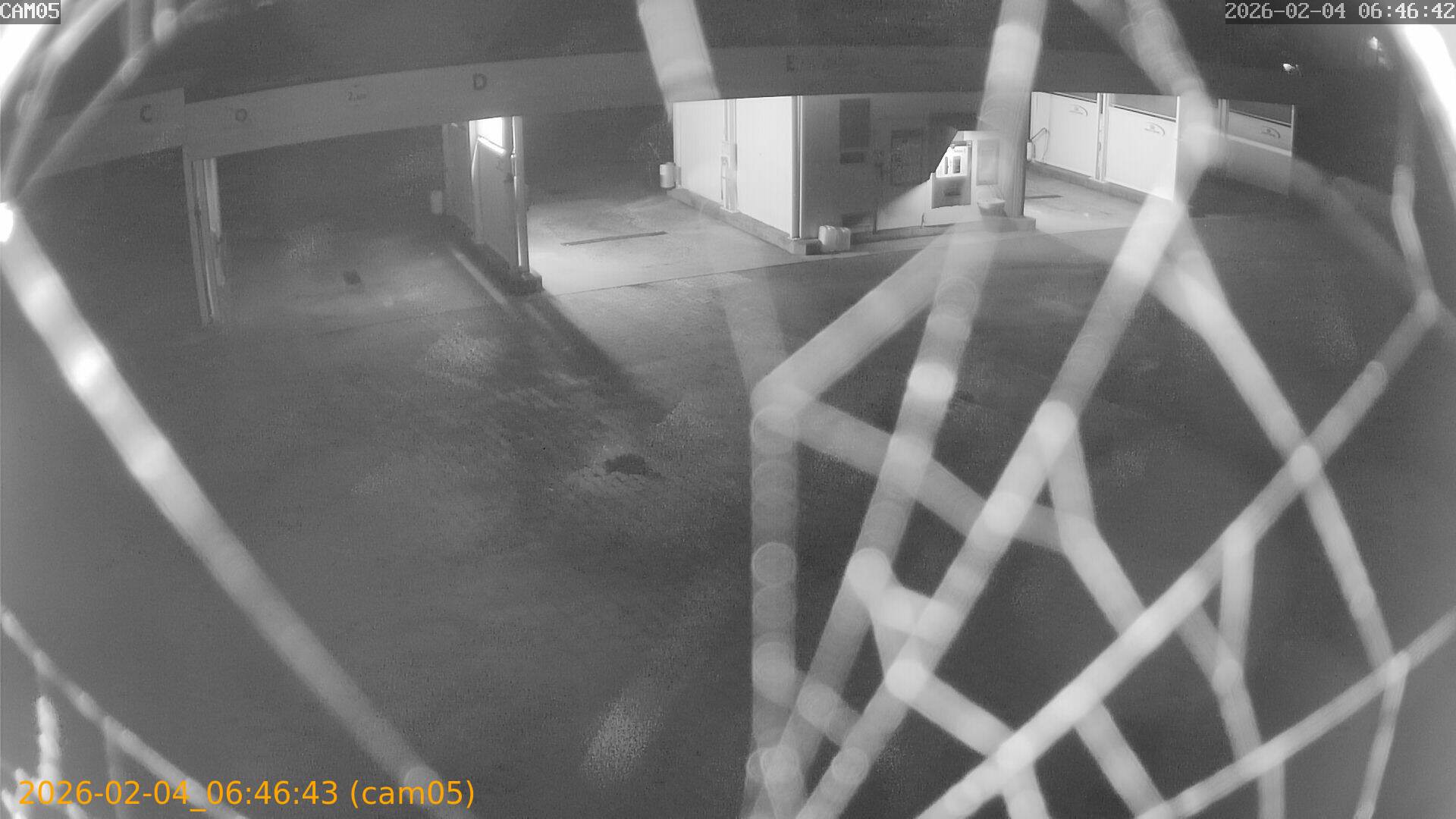 thumbnail_20260204064643