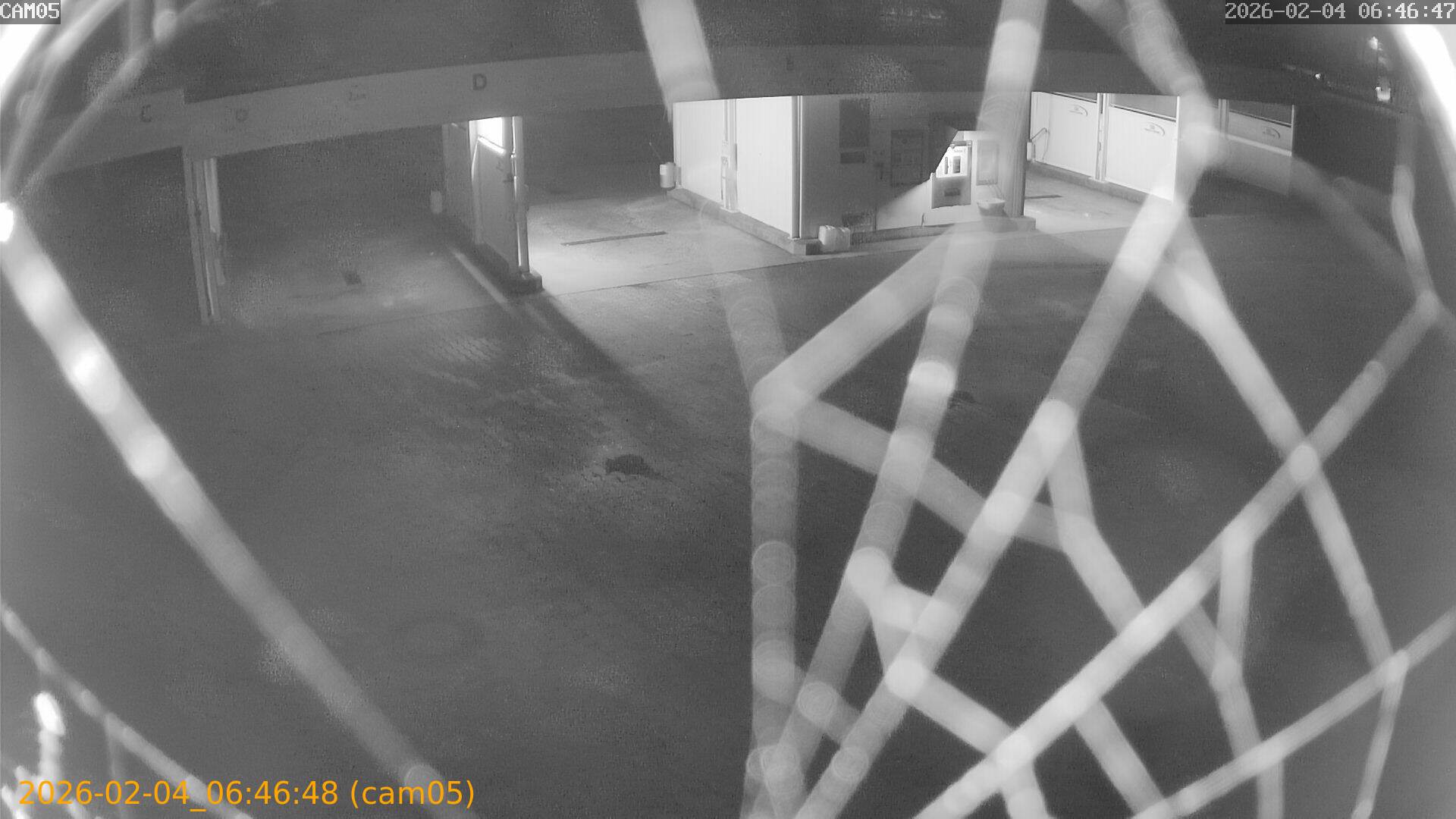 thumbnail_20260204064648