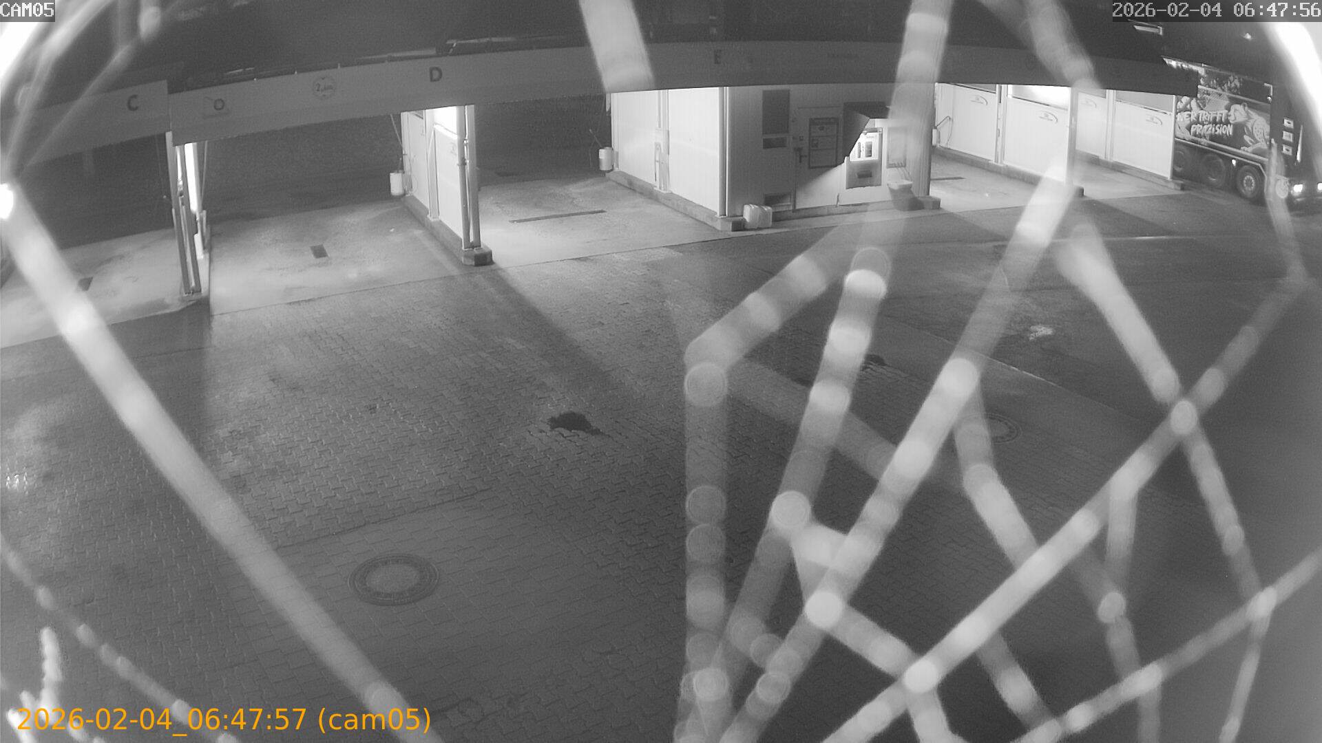 thumbnail_20260204064757