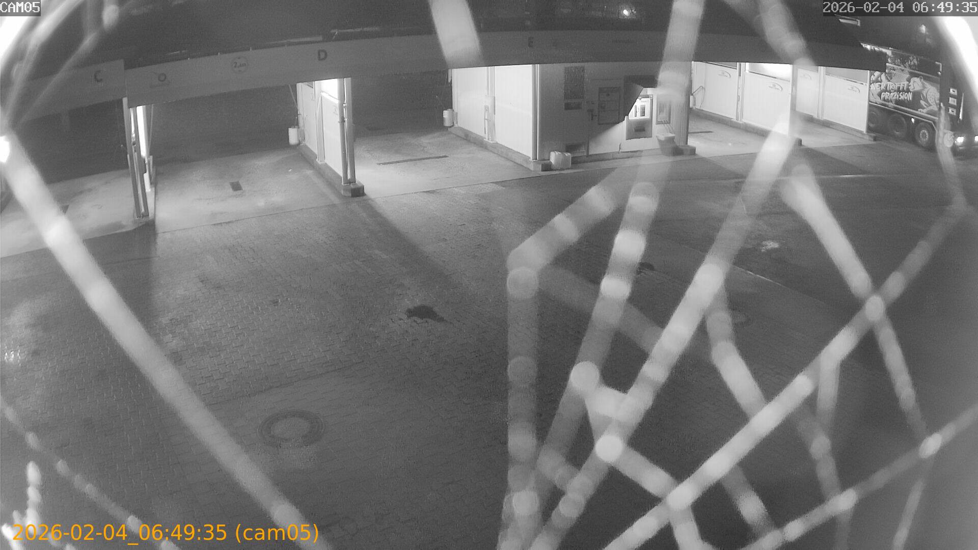 thumbnail_20260204064935