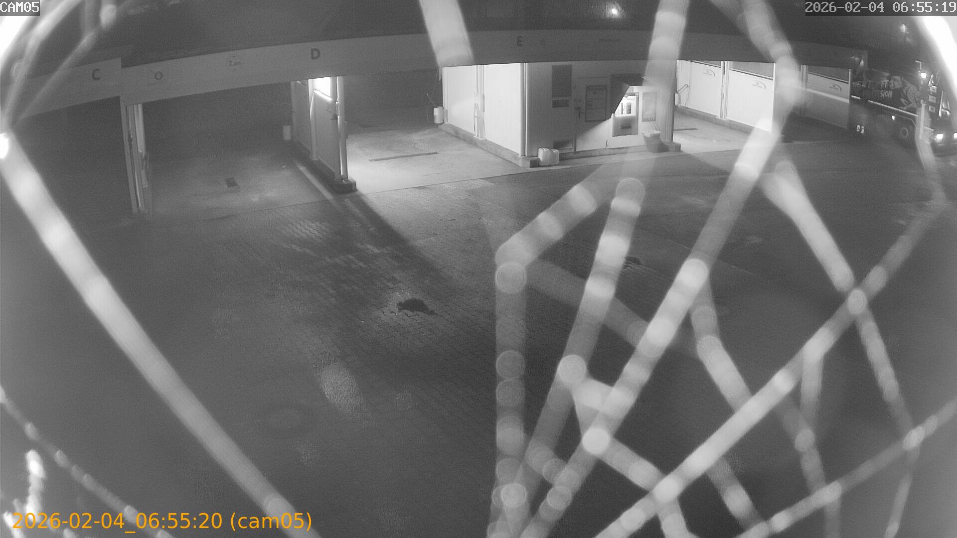 thumbnail_20260204065520