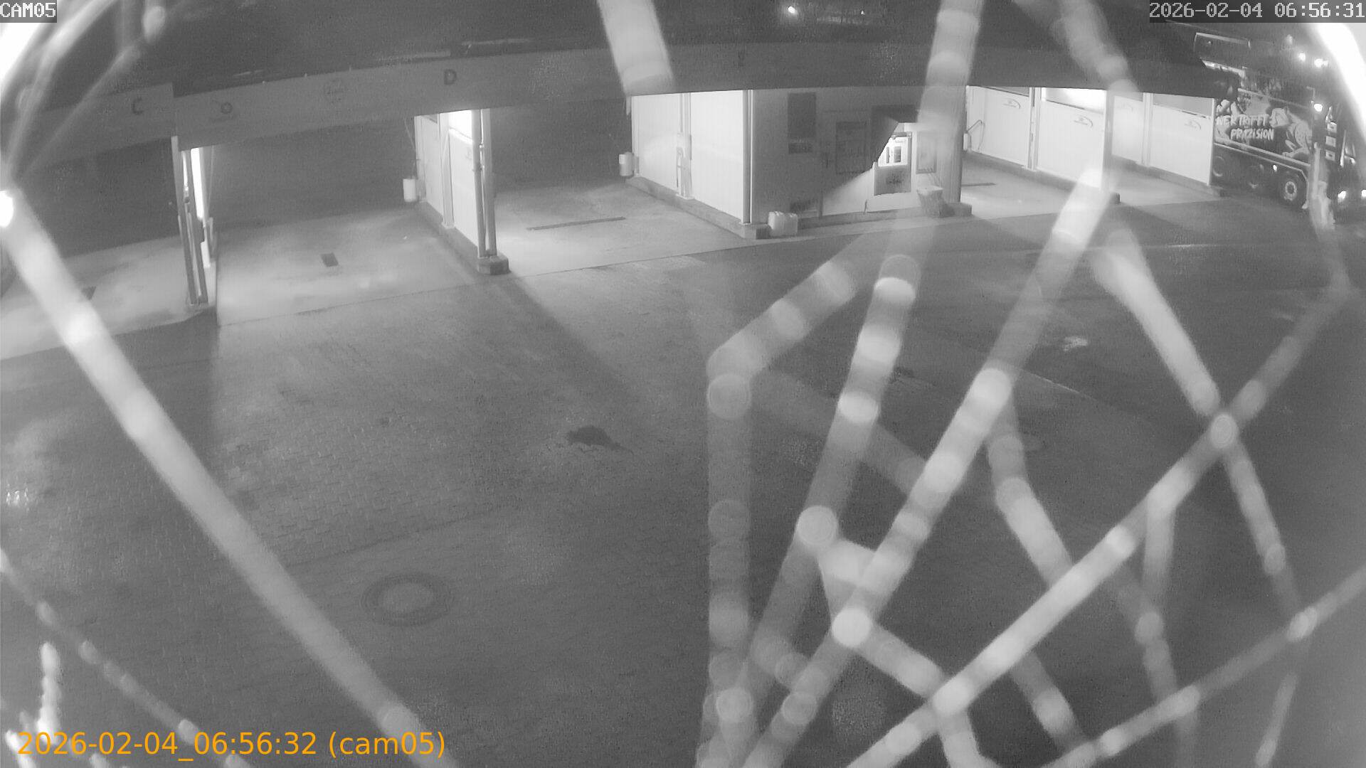 thumbnail_20260204065632