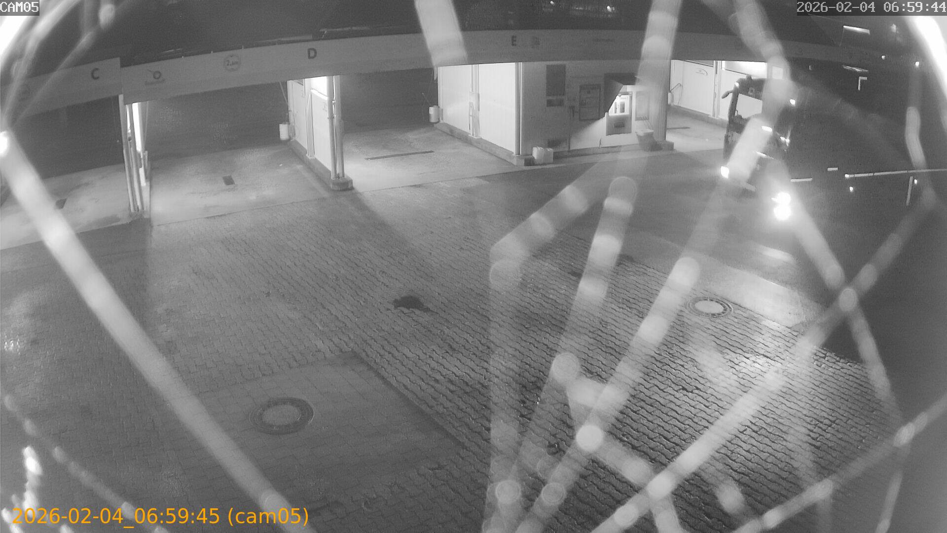 thumbnail_20260204065945