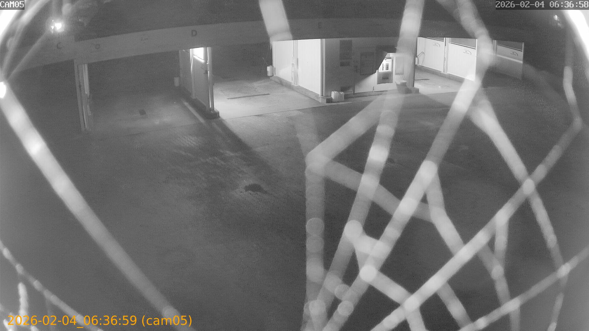 thumbnail_202602040636