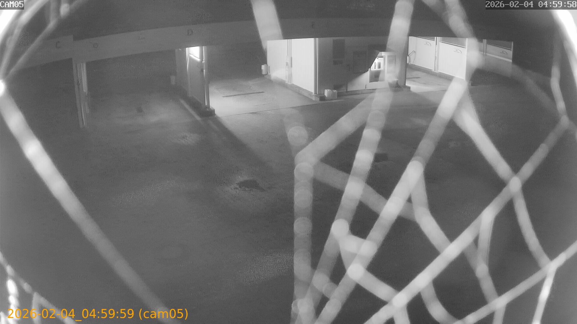 thumbnail_2026020404