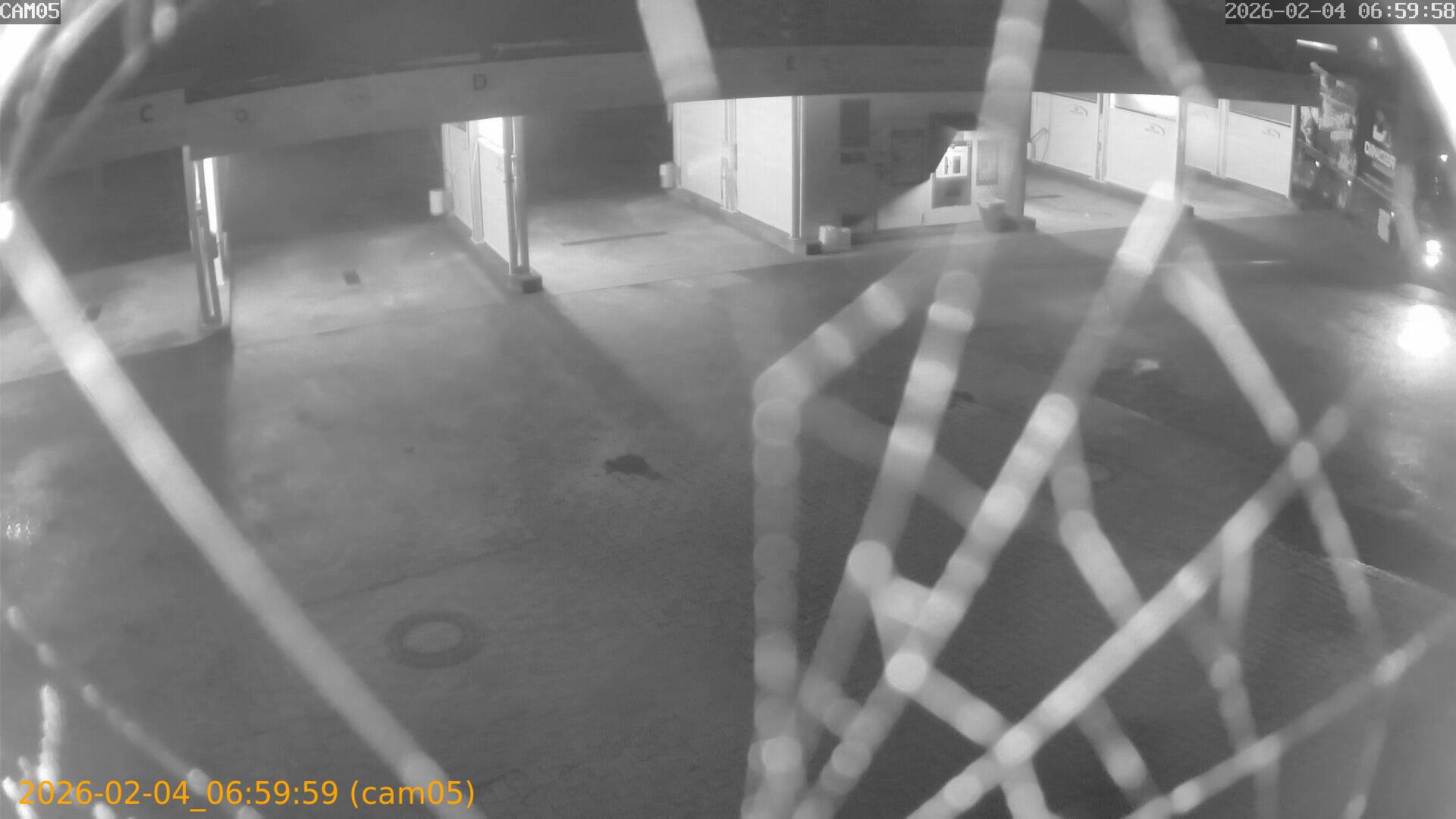 thumbnail_2026020406