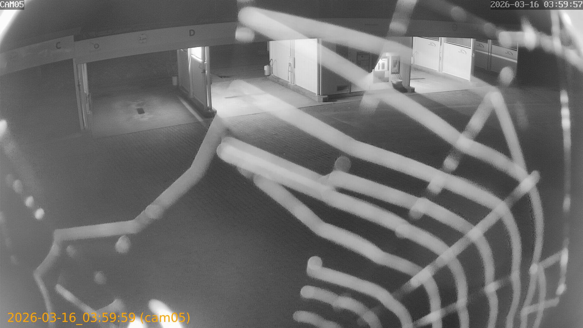 thumbnail_2026031603