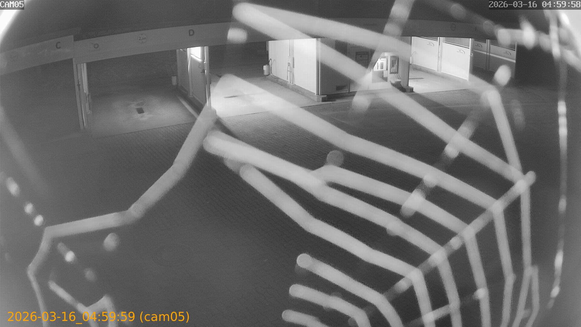 thumbnail_2026031604