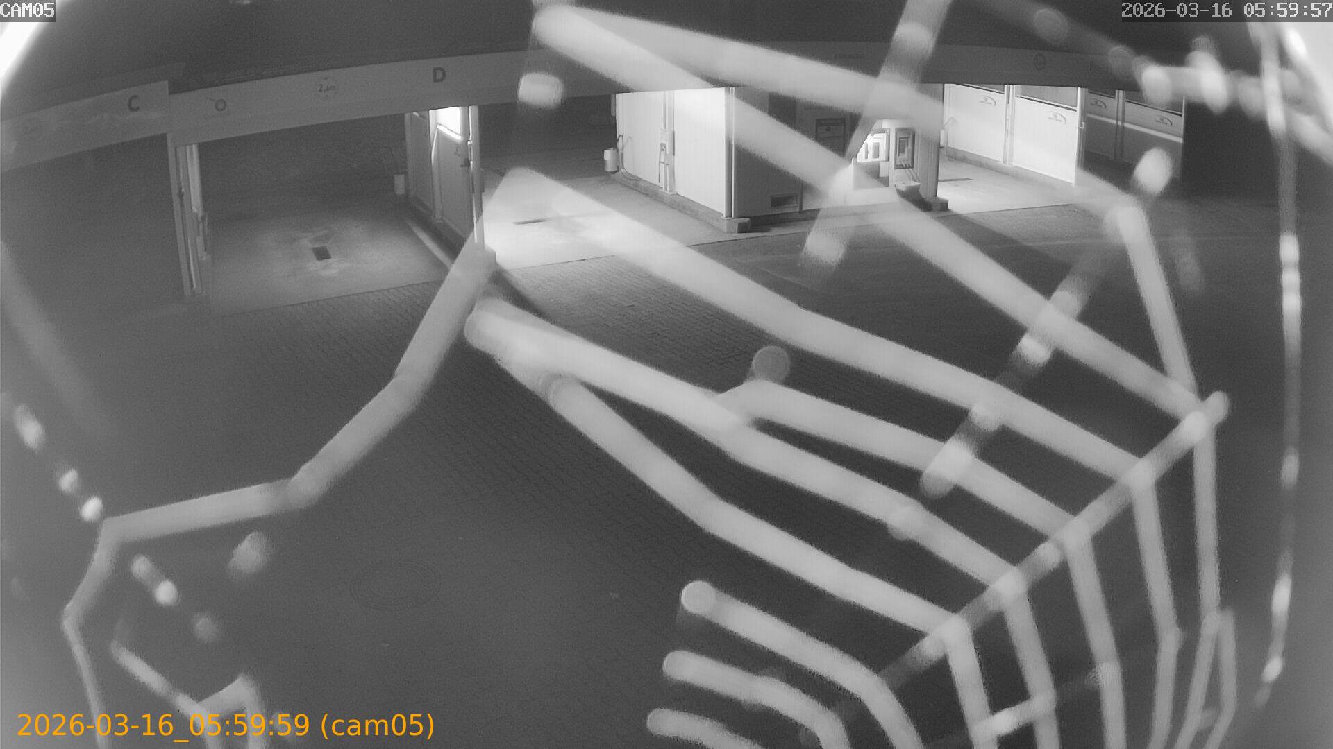 thumbnail_2026031605