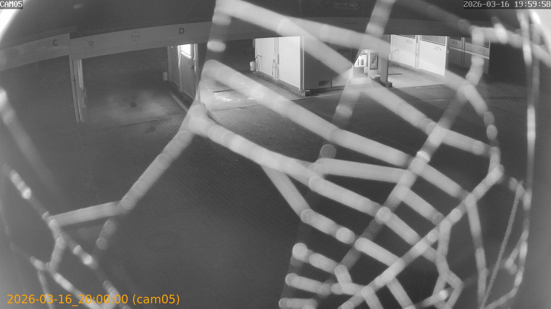 thumbnail_2026031619