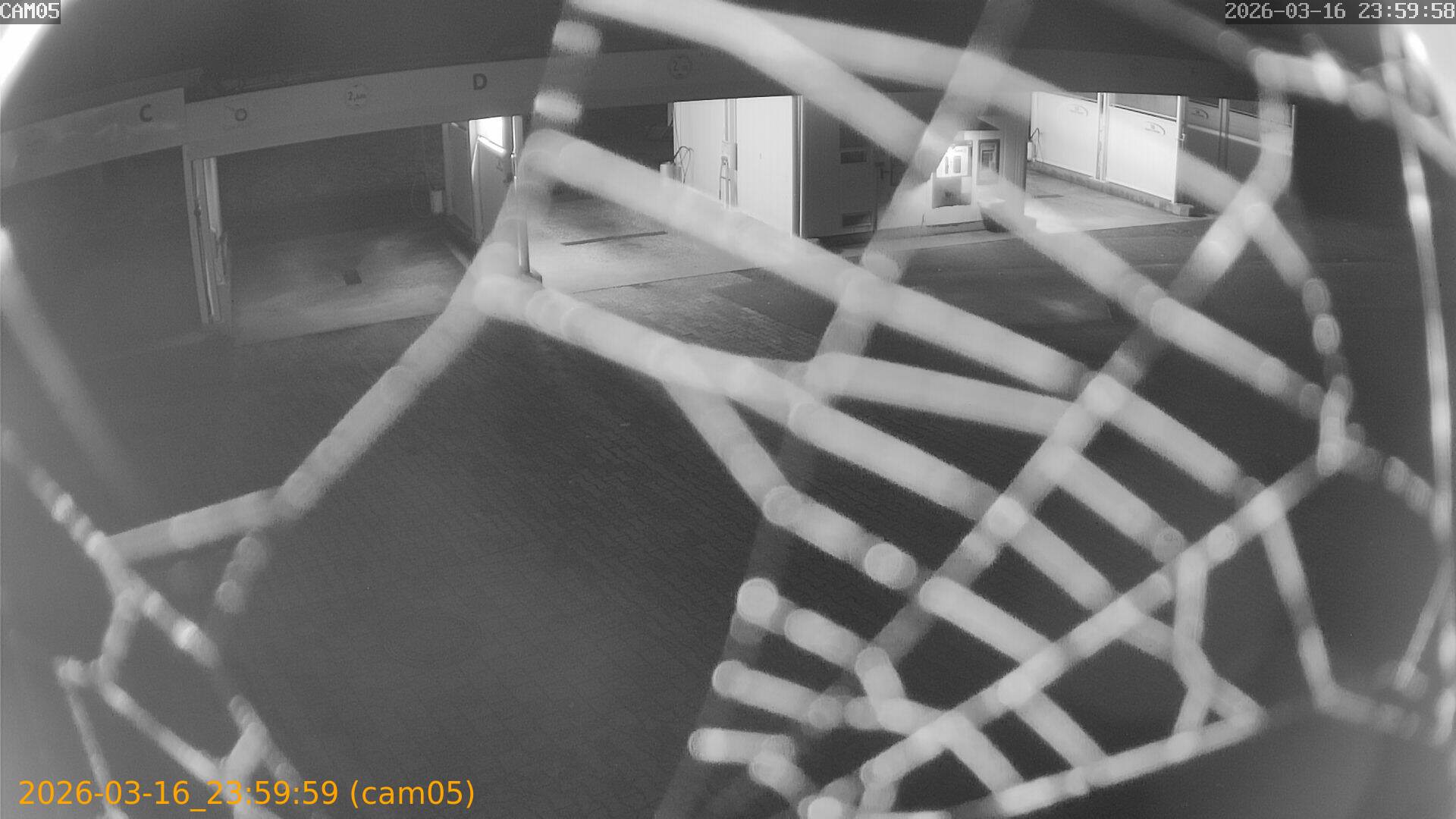 thumbnail_2026031623