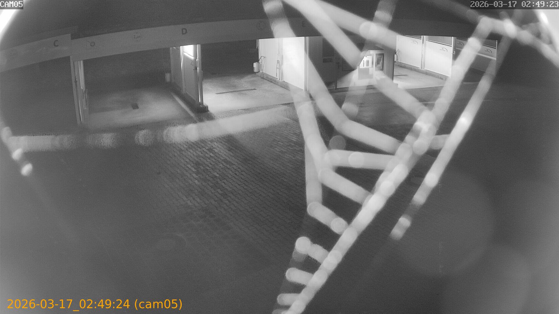 thumbnail_20260317024924