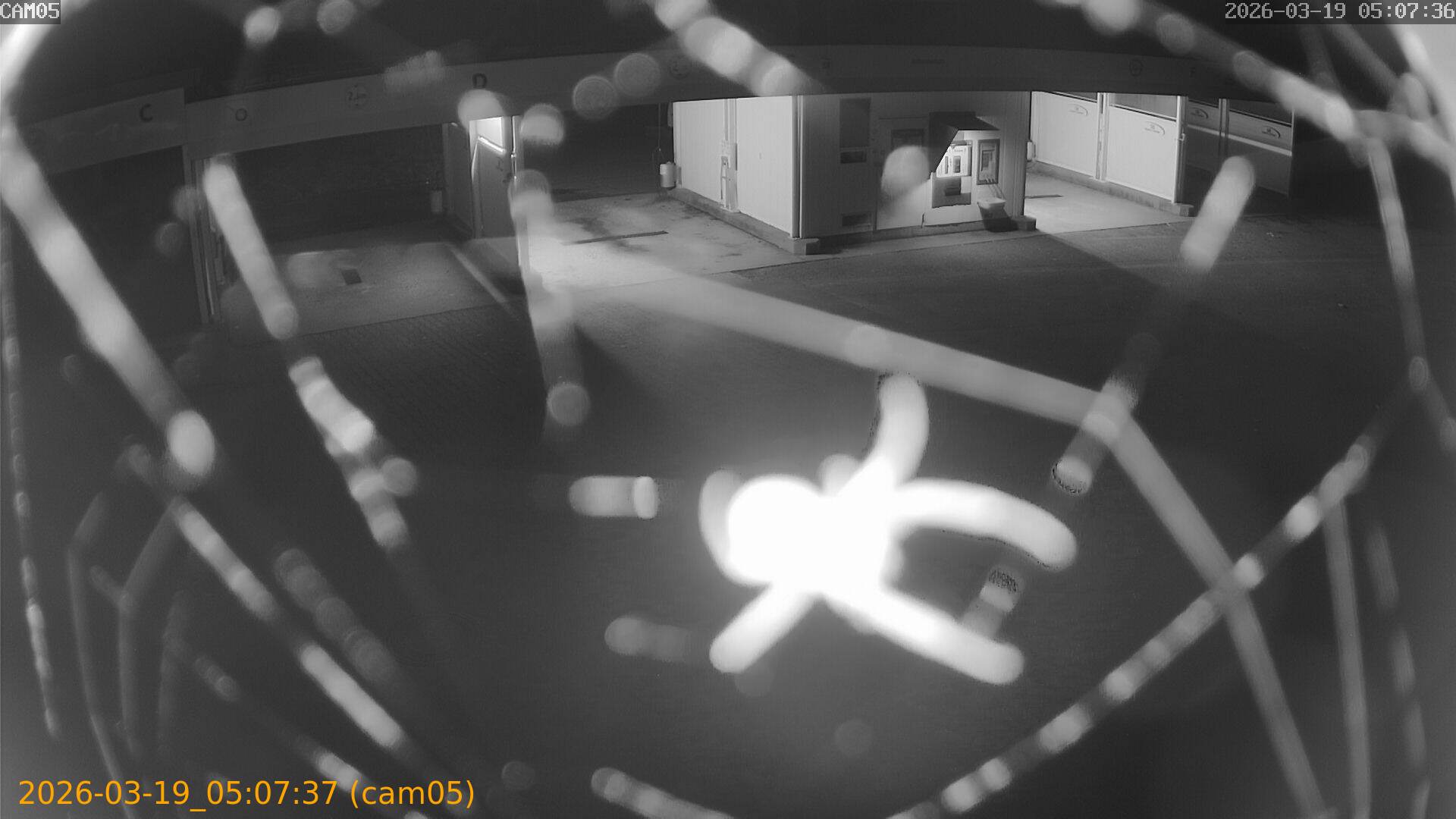 thumbnail_20260319050737