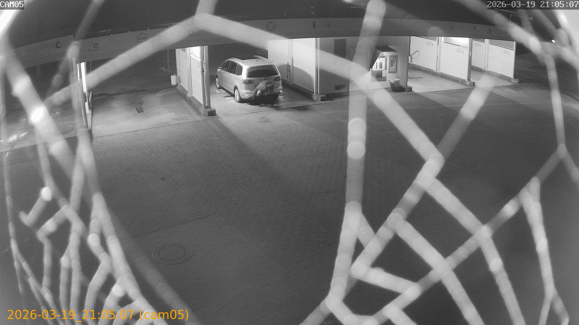 thumbnail_20260319210507