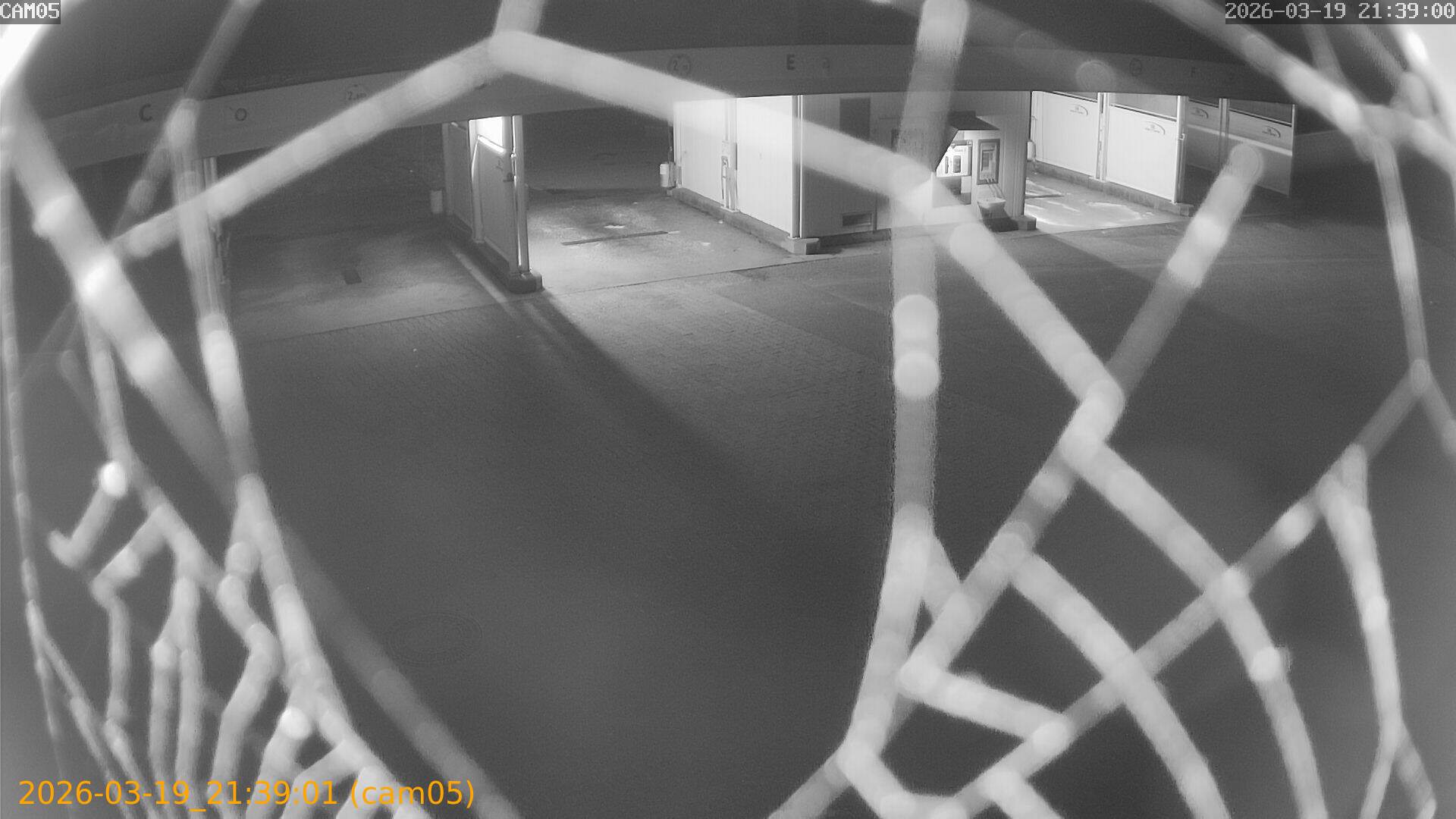 thumbnail_20260319213901