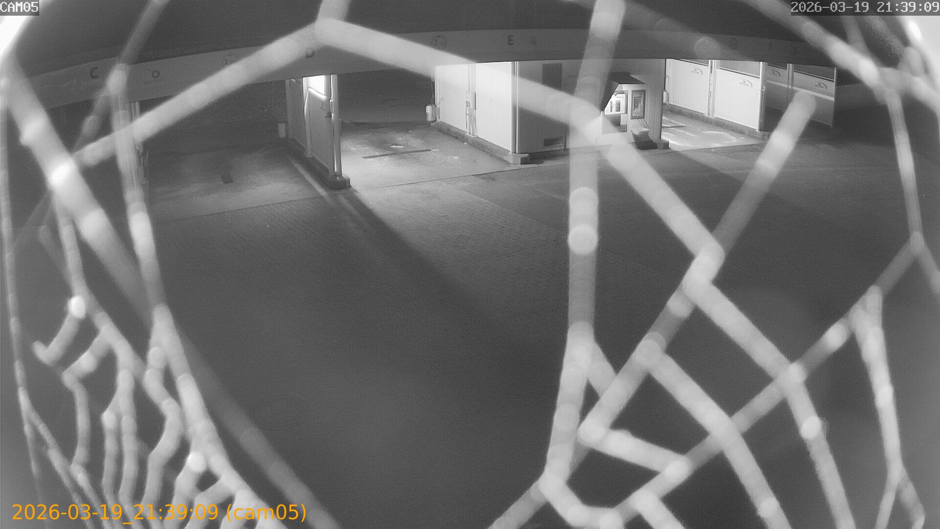 thumbnail_20260319213909