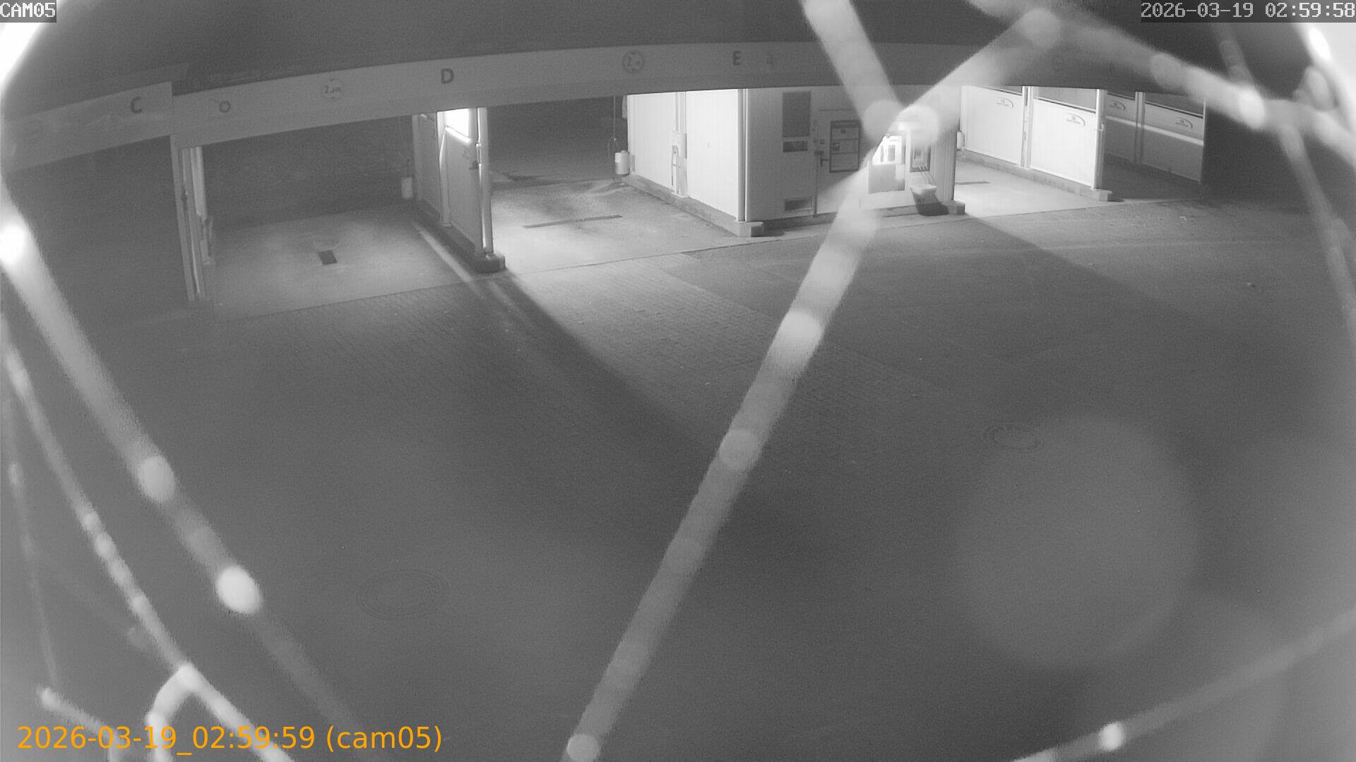 thumbnail_2026031902