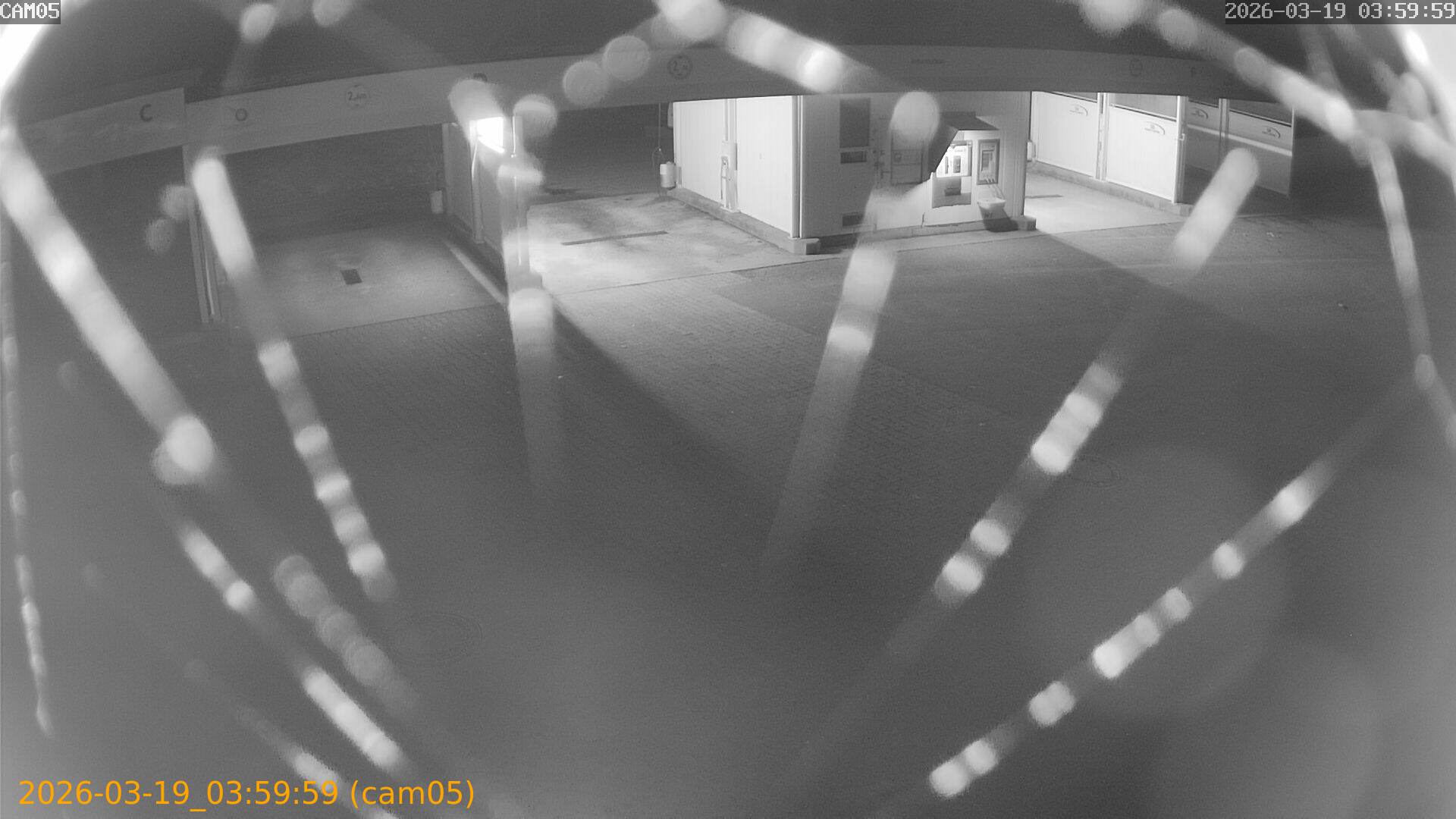 thumbnail_2026031903