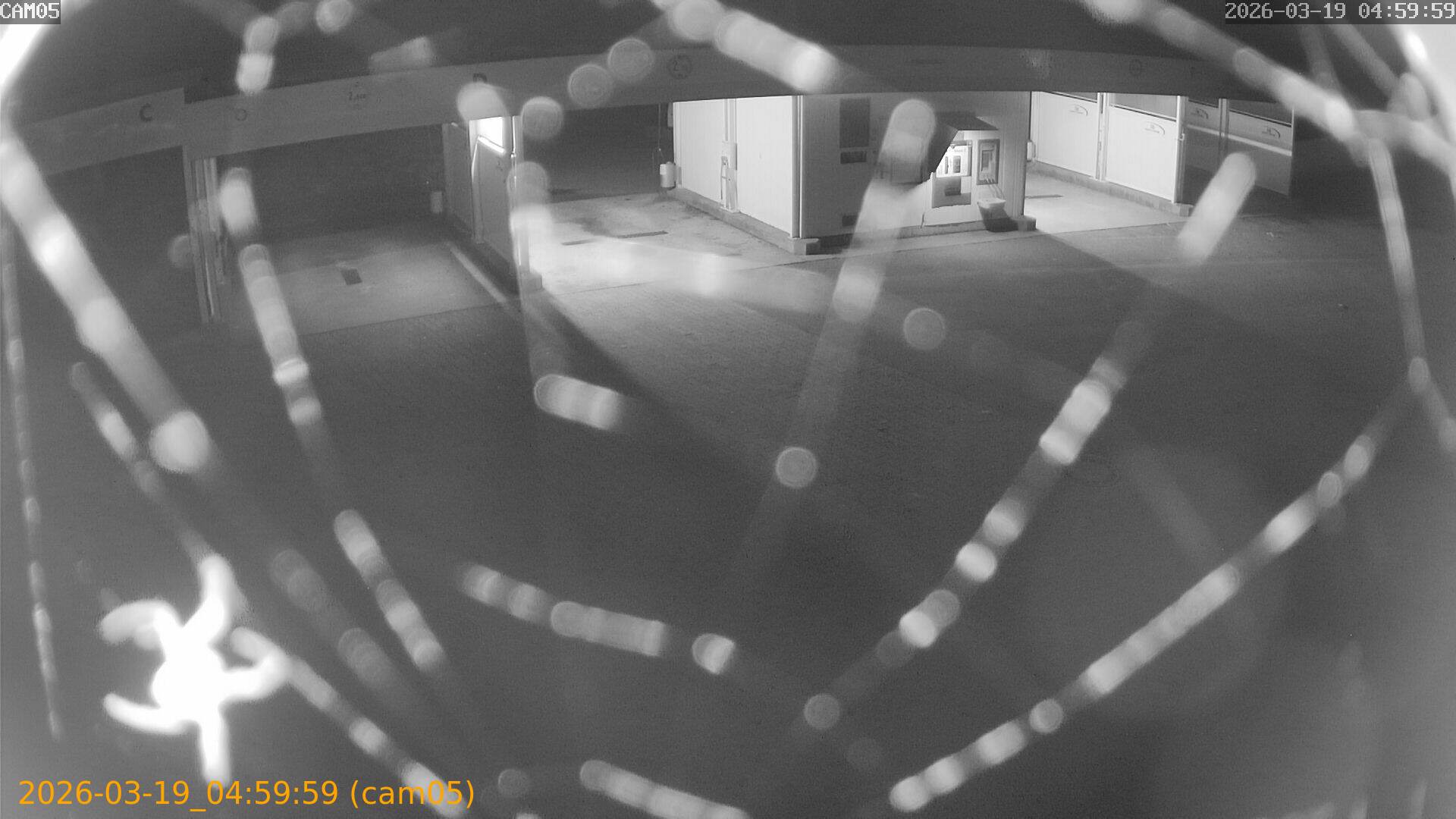 thumbnail_2026031904