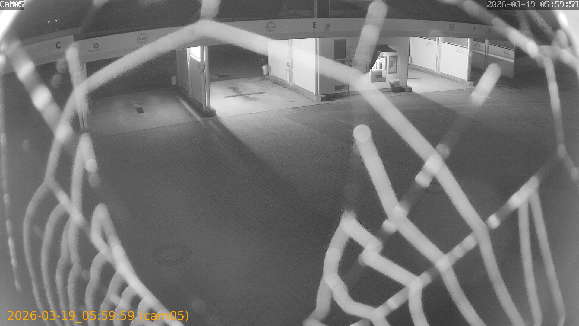 thumbnail_2026031905