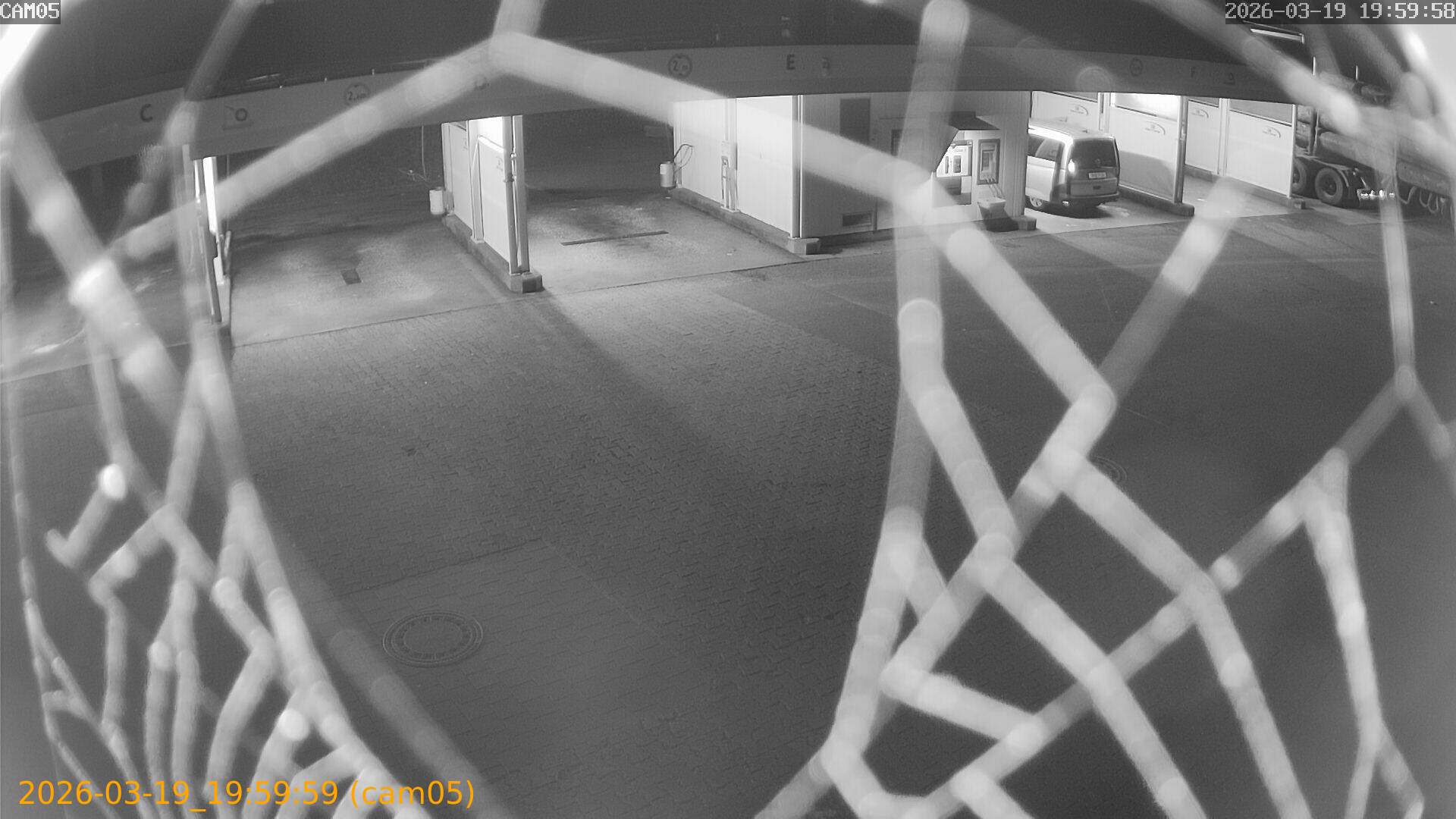 thumbnail_2026031919