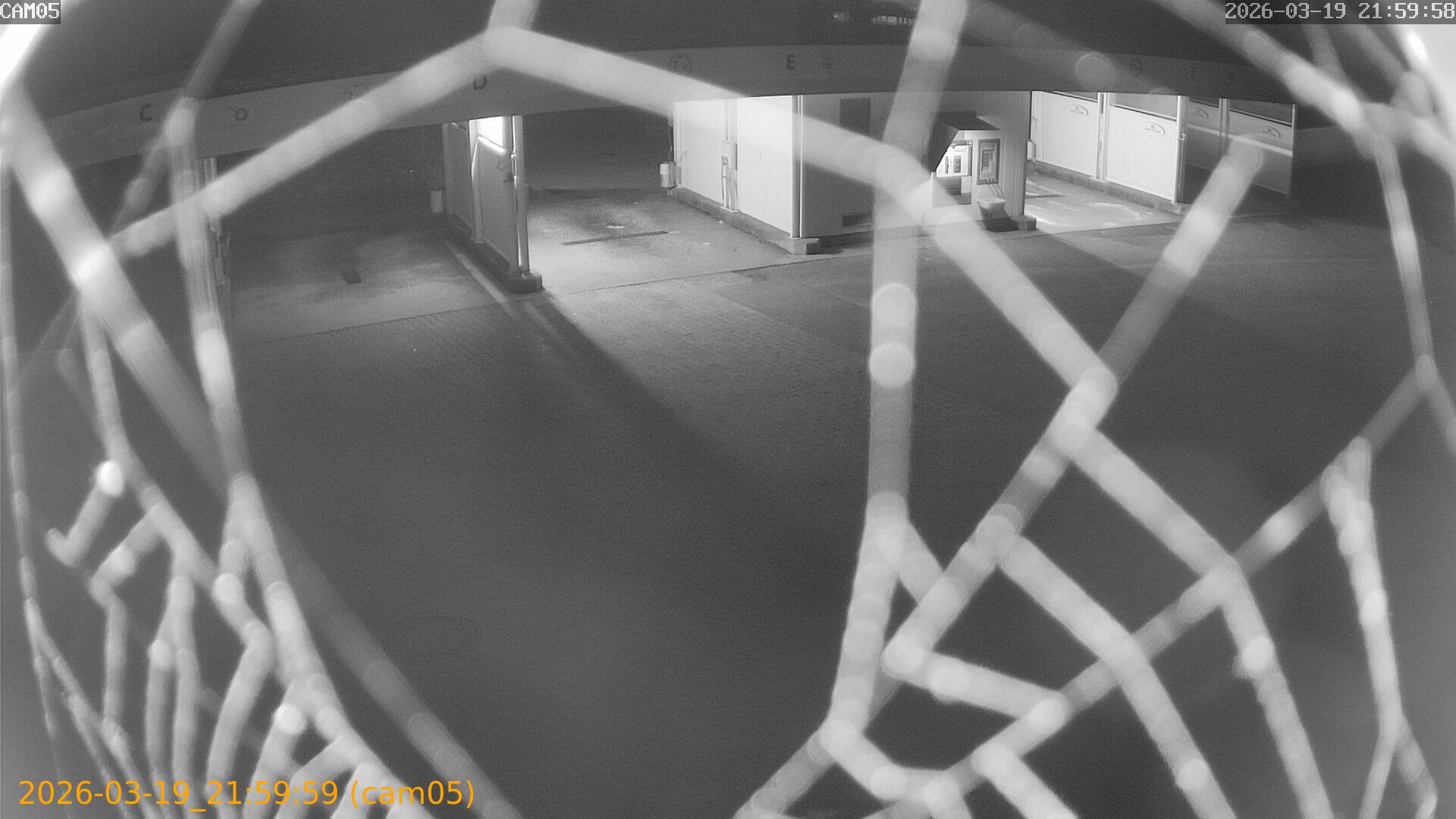 thumbnail_2026031921