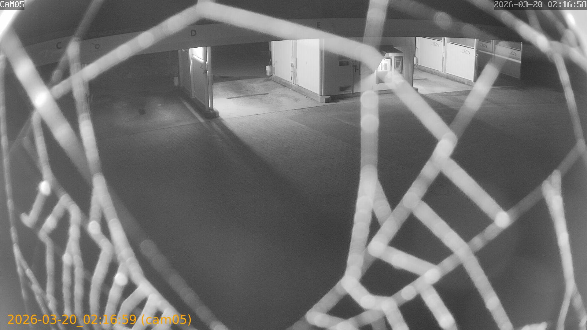 thumbnail_202603200216