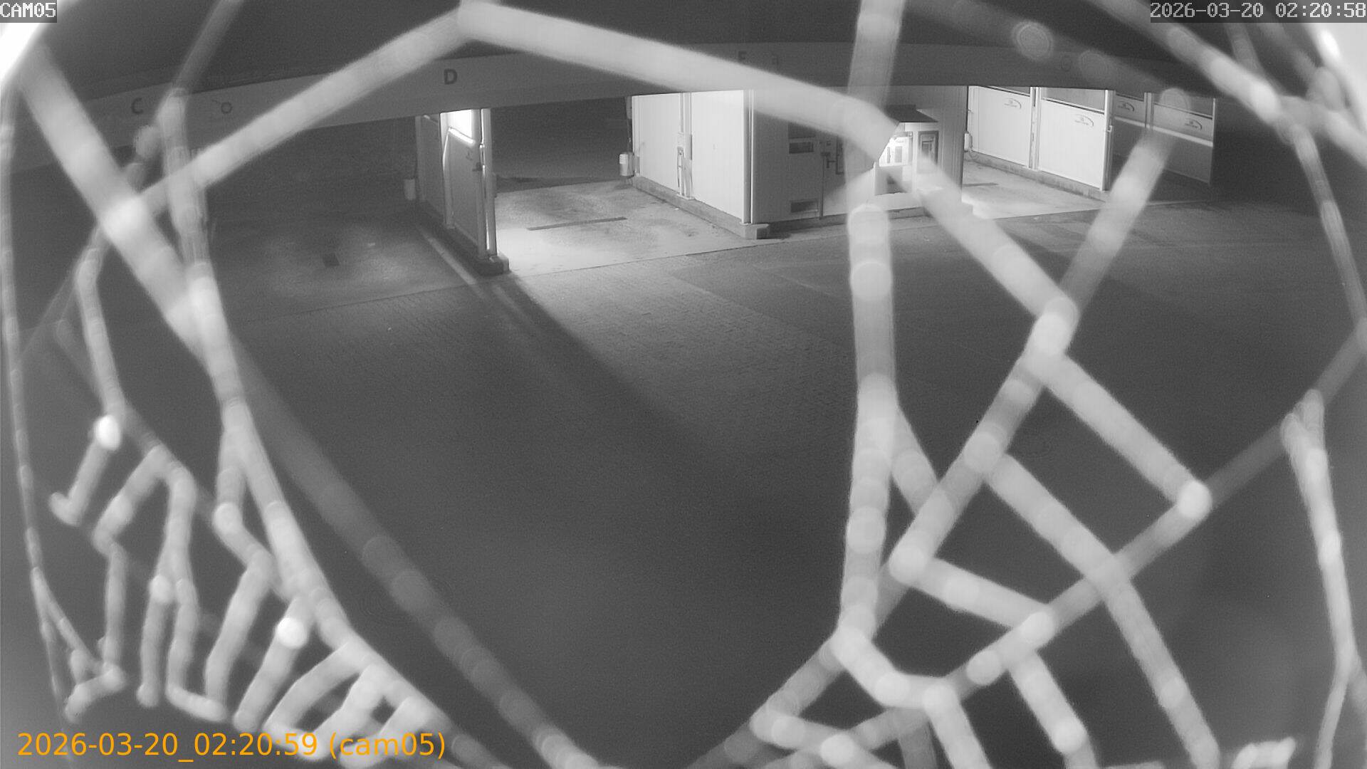 thumbnail_202603200220