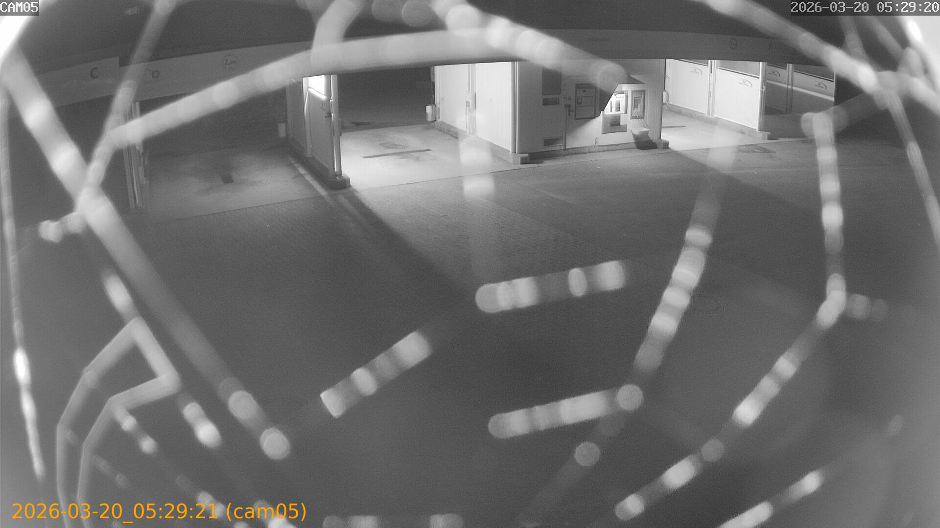 thumbnail_20260320052921