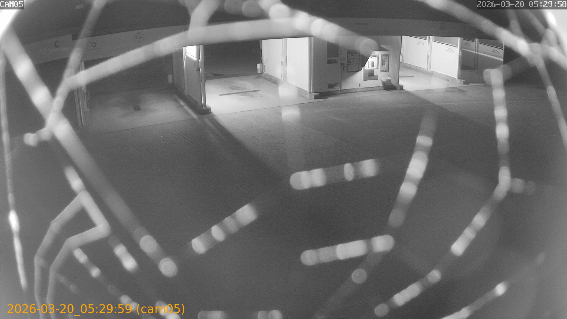 thumbnail_202603200529