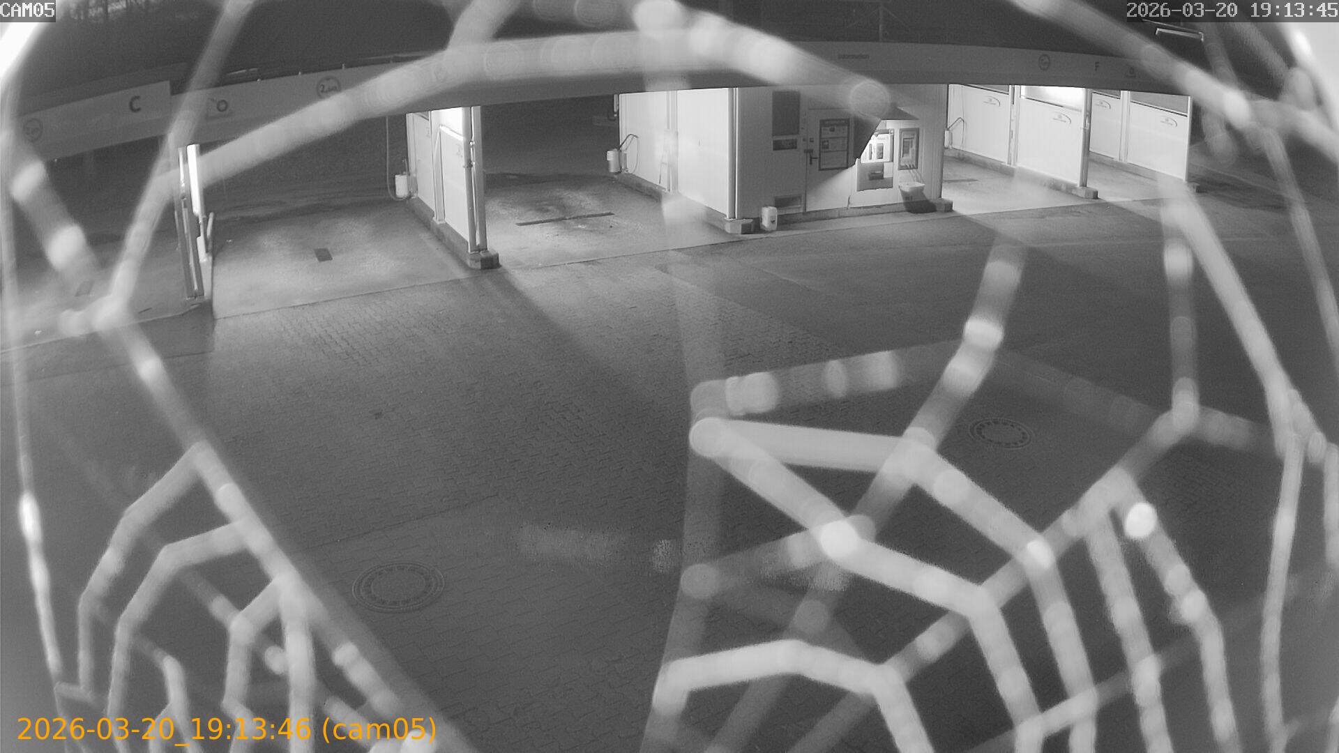 thumbnail_20260320191346