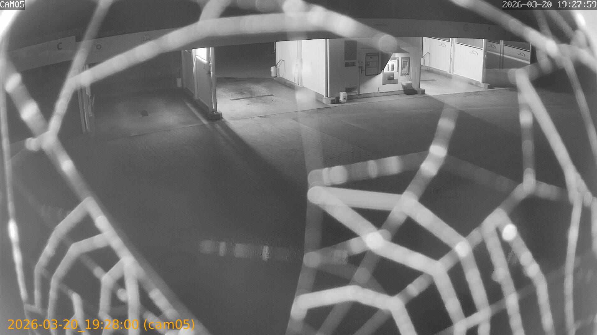 thumbnail_202603201927