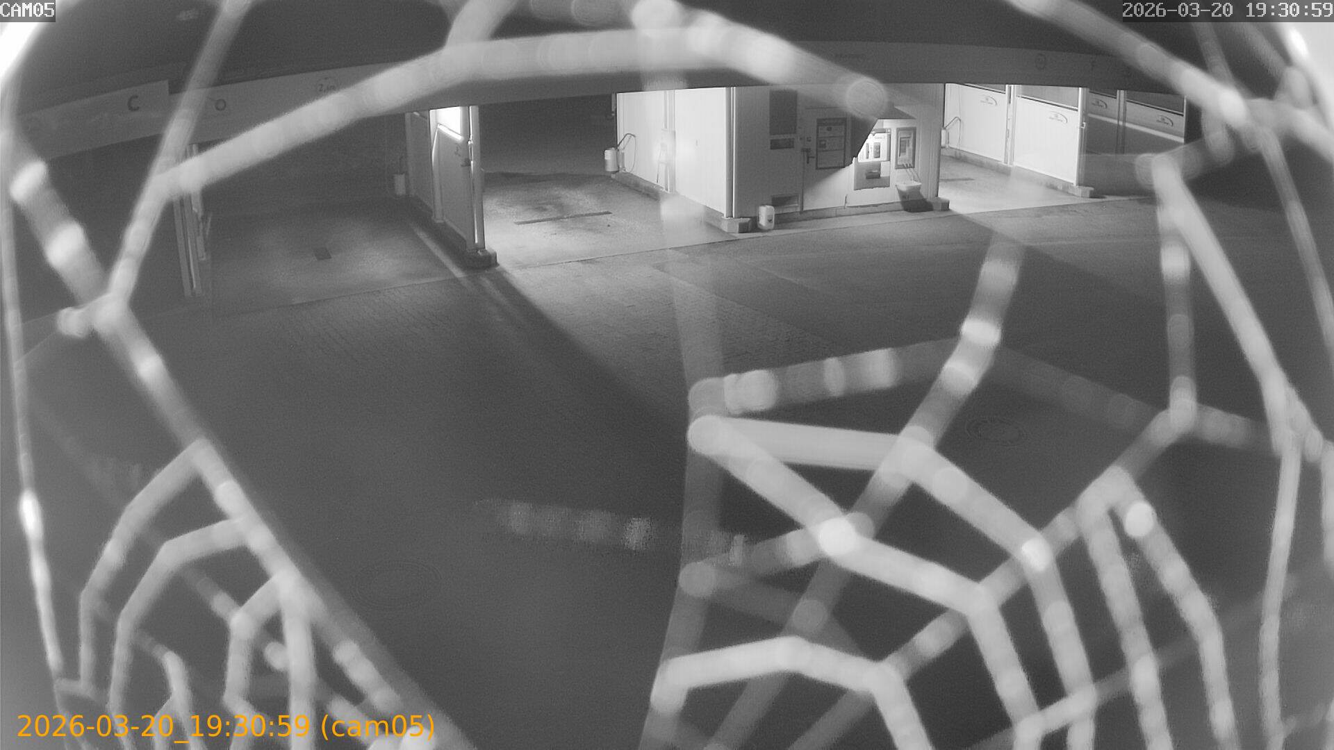 thumbnail_202603201930