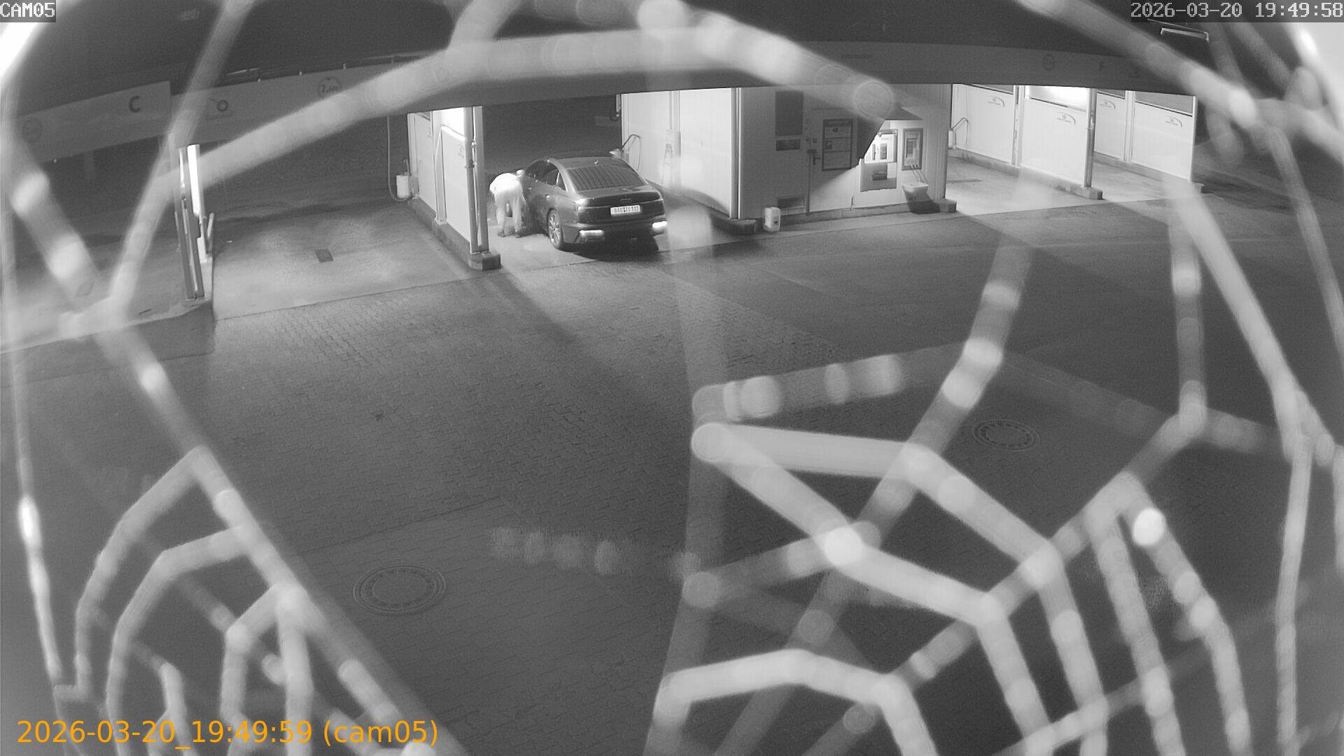 thumbnail_202603201949