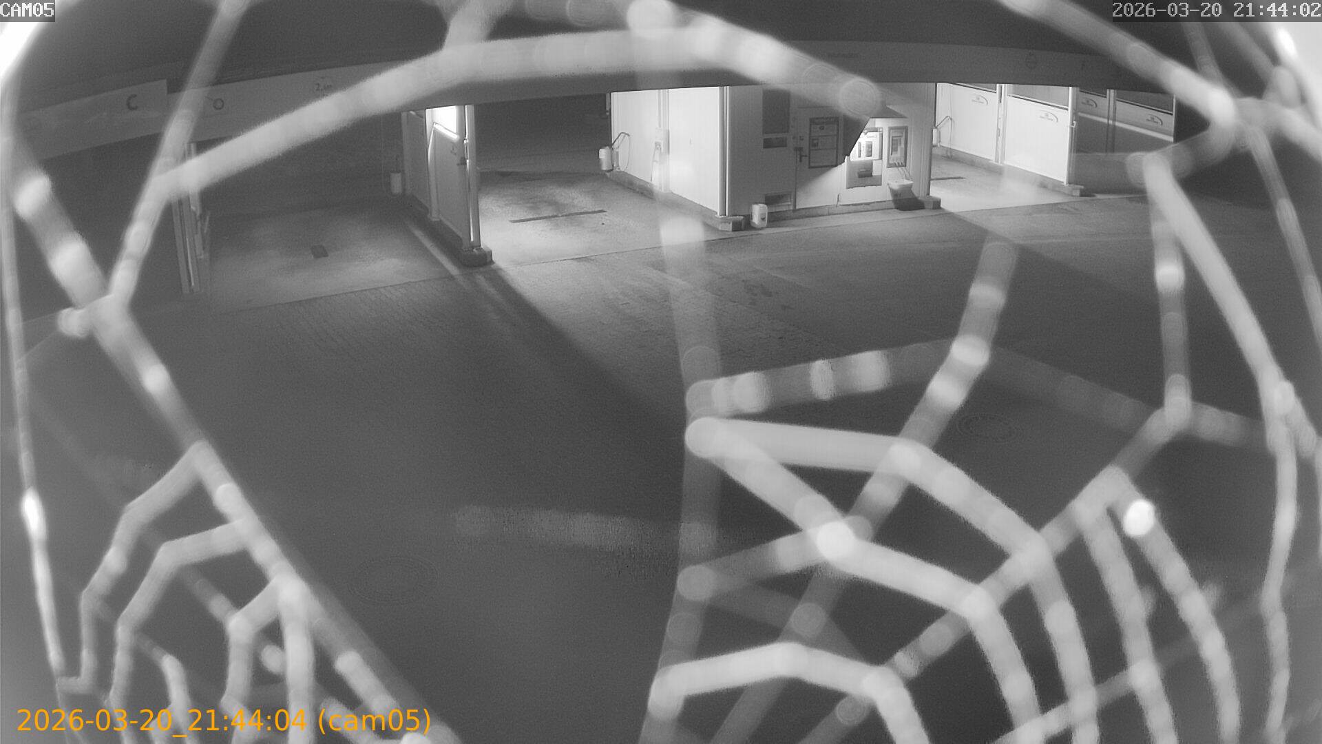 thumbnail_20260320214404