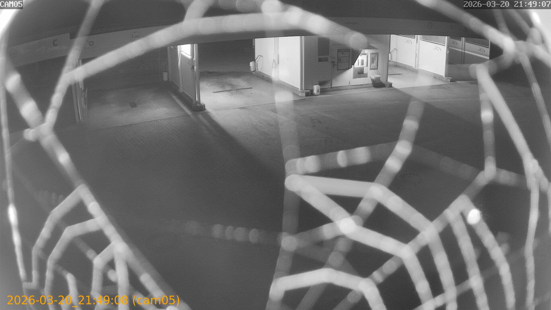 thumbnail_20260320214908