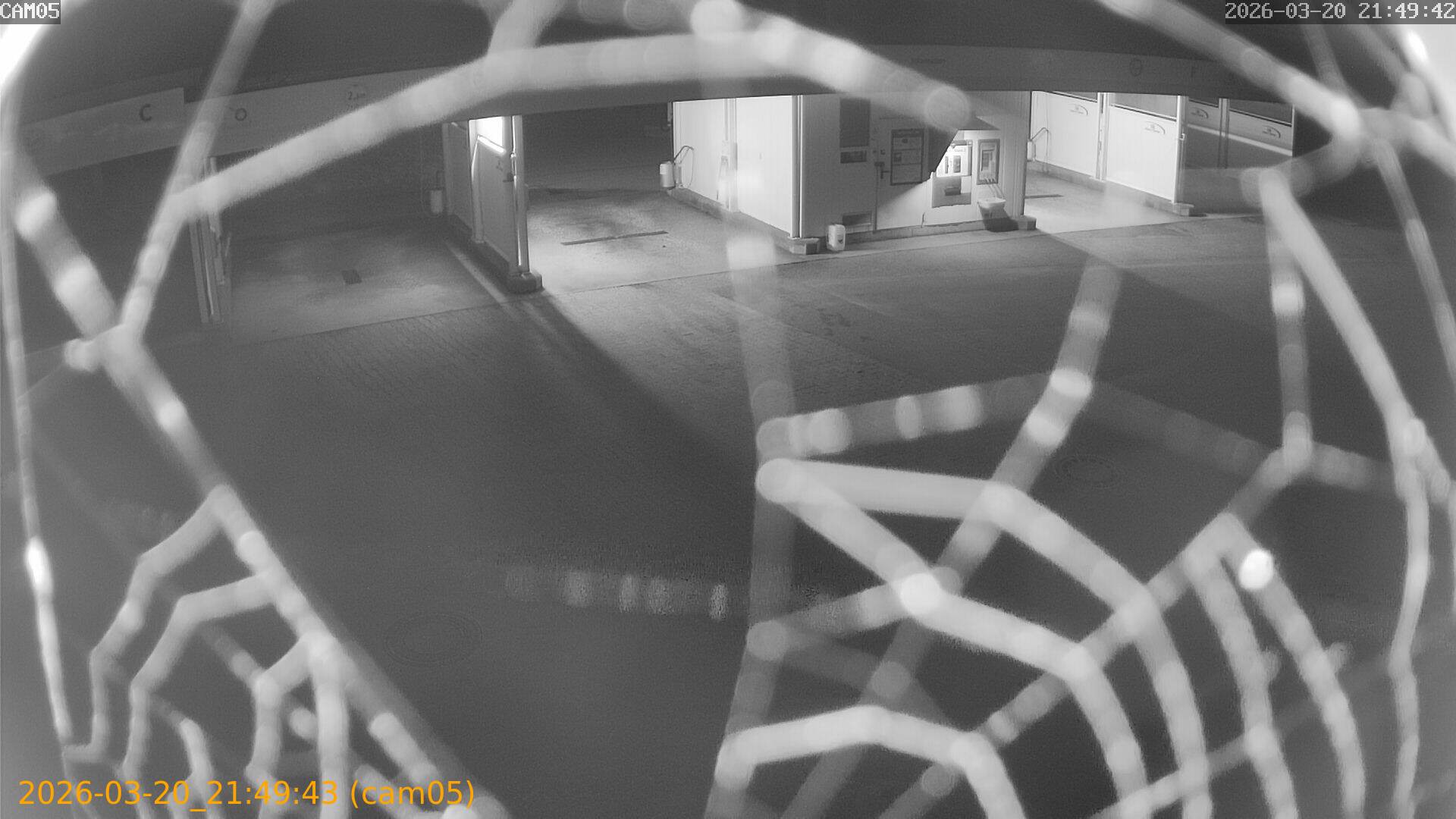 thumbnail_20260320214943