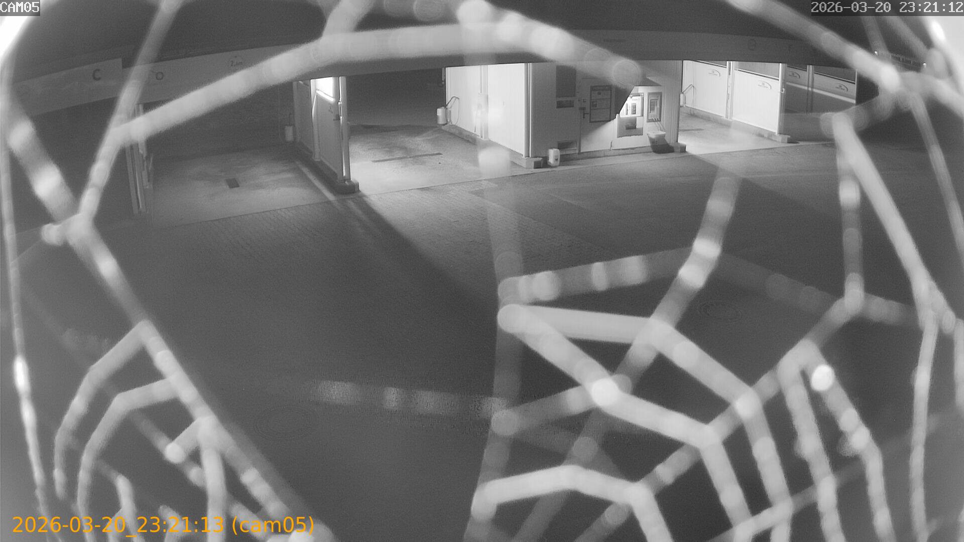 thumbnail_20260320232113