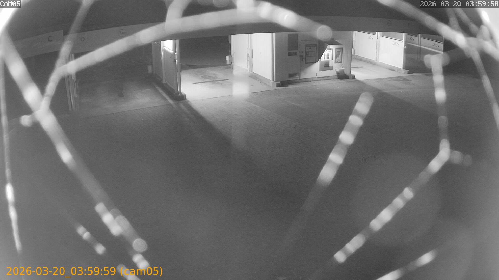 thumbnail_2026032003