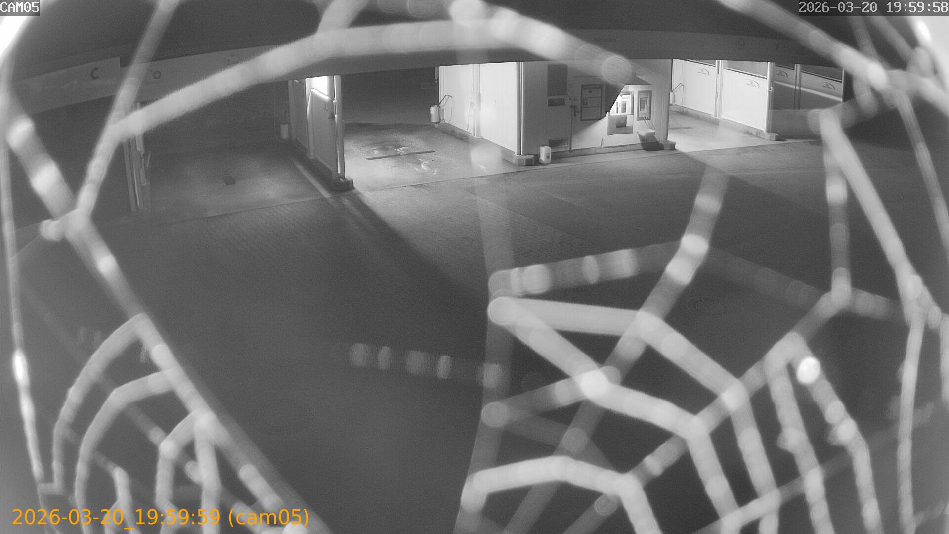 thumbnail_2026032019