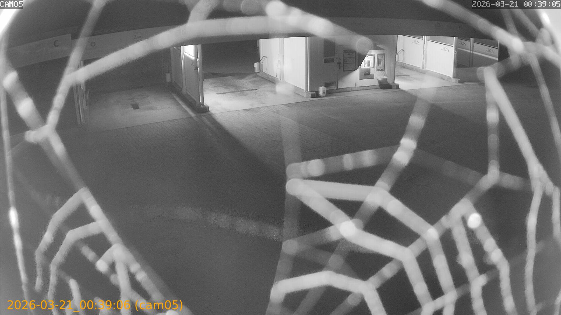 thumbnail_20260321003906