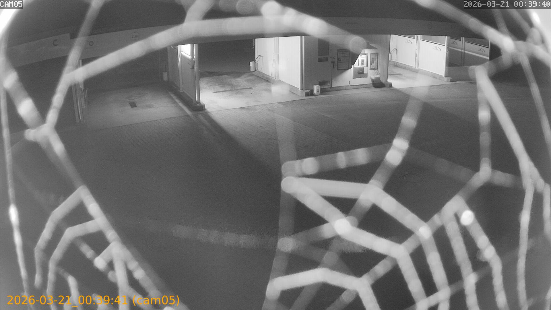 thumbnail_20260321003941