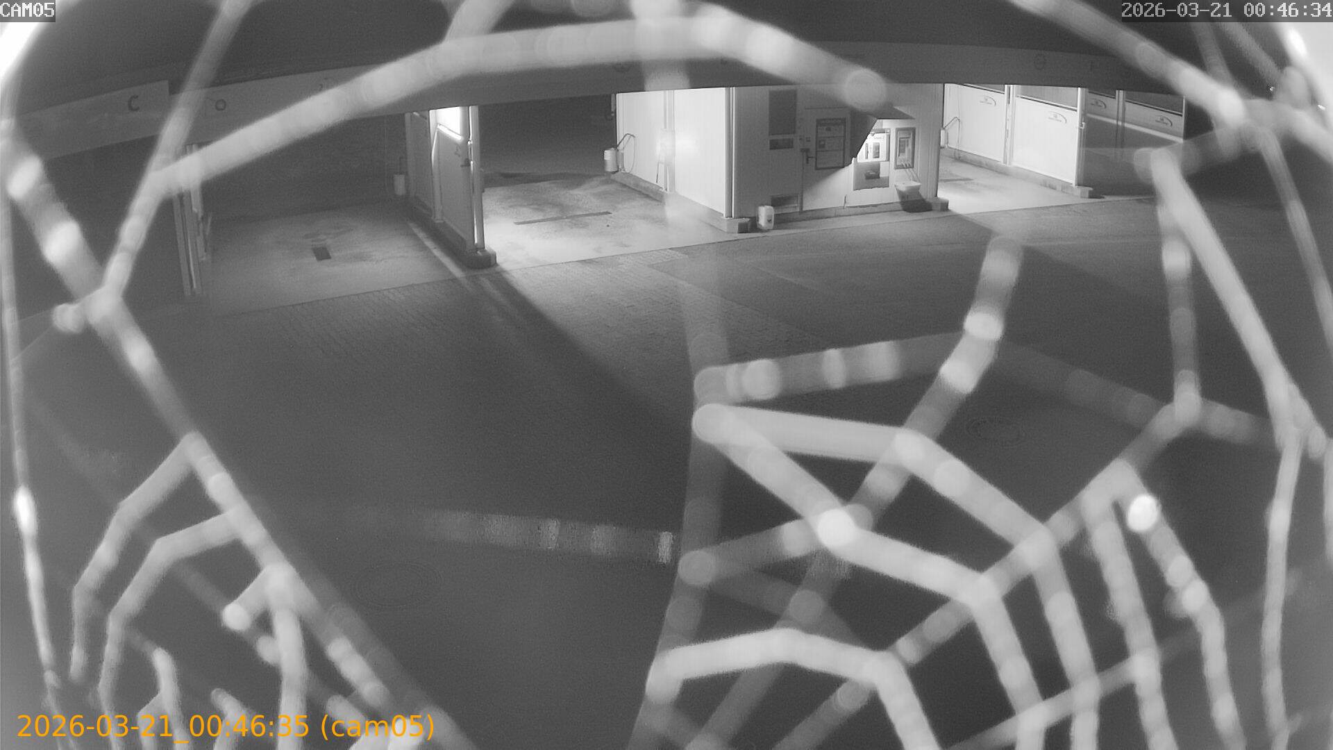 thumbnail_20260321004635