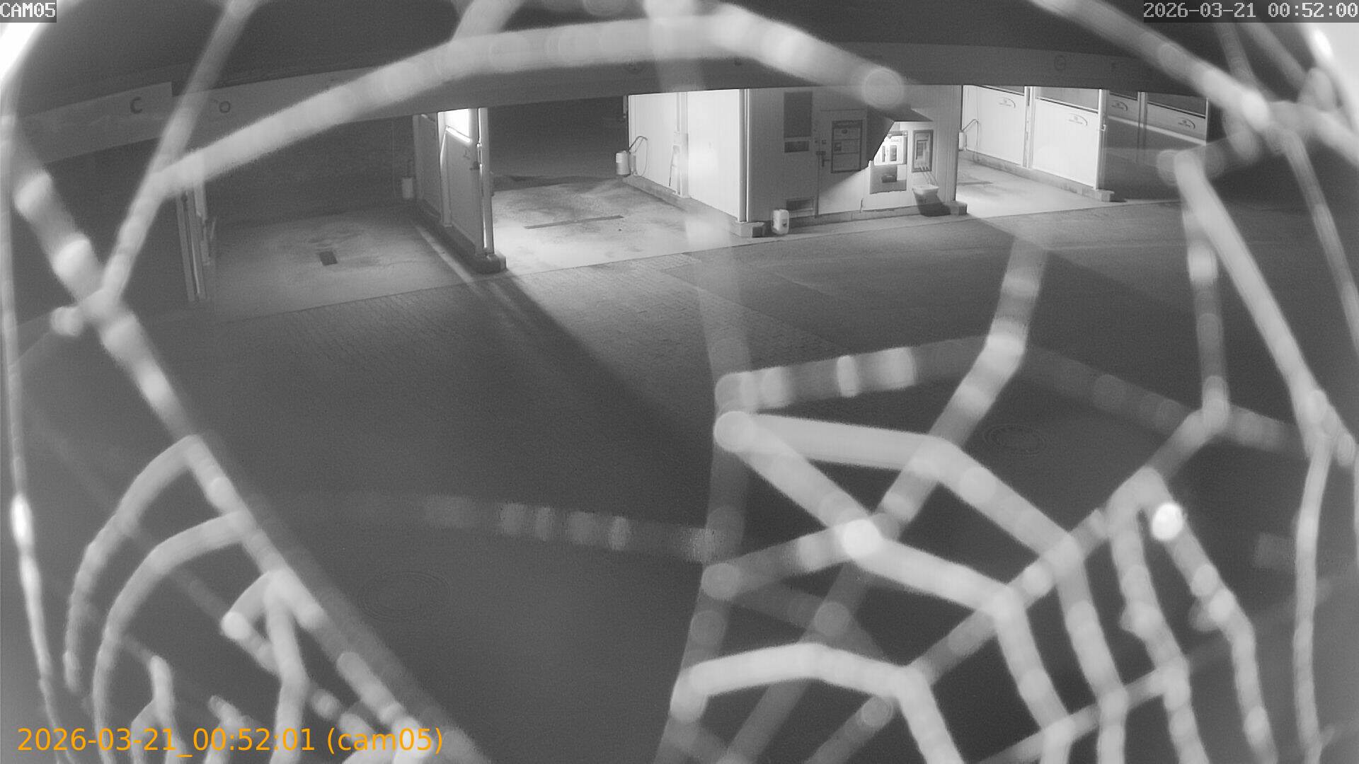 thumbnail_20260321005201