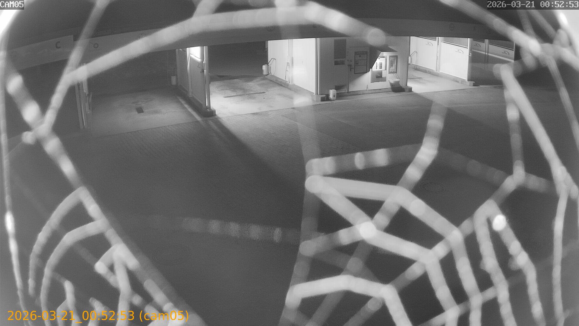 thumbnail_20260321005253