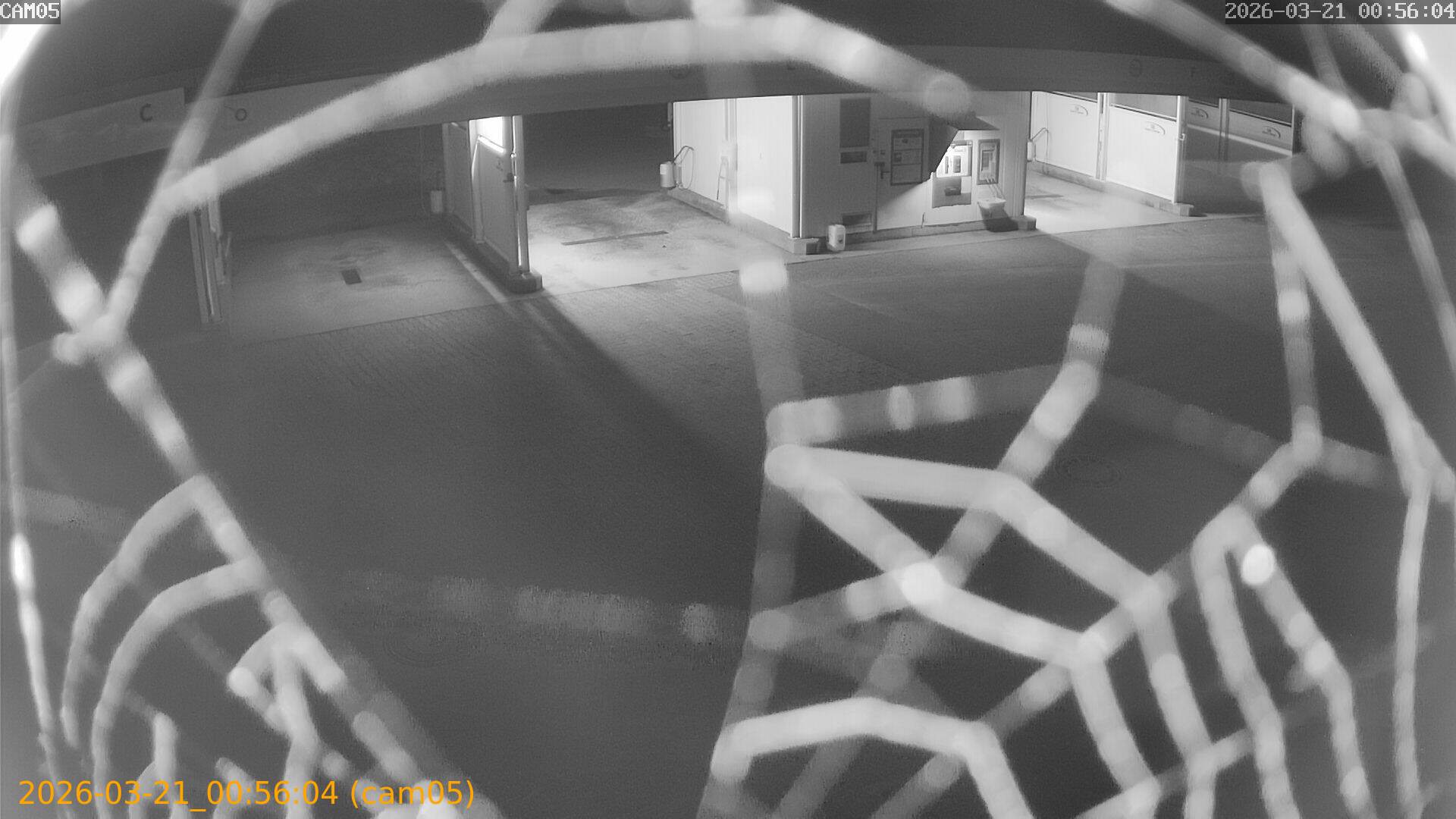 thumbnail_20260321005604