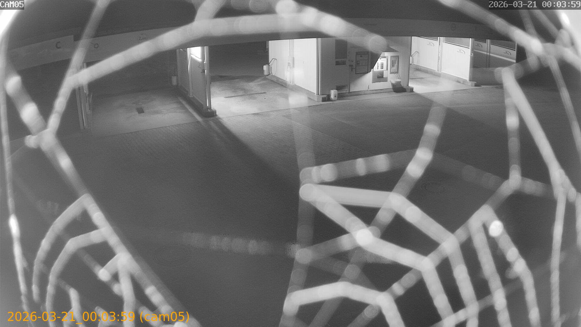 thumbnail_202603210003